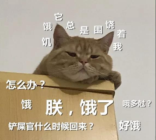 萤石智能可视宠物喂食器:视频远程监控,定时定量投喂