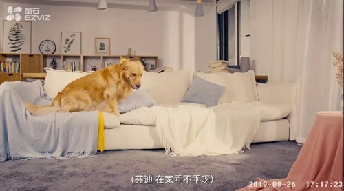 萤石智能可视宠物喂食器:视频远程监控,定时定量投喂
