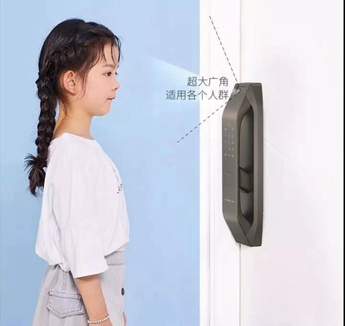 德施曼智能锁:C级锁芯防止撬锁,手机APP全情掌控,丰富智能生活